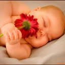 ���� Ilya, ������ - ��������� 14 ������� 2016 � ������ ������