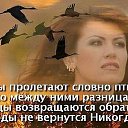 ���� �����, �����, 64 ���� - ��������� 15 �������� 2016 � ������ ���� ����������