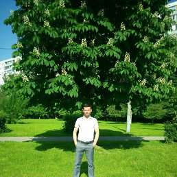 �������, ������, 43 ����