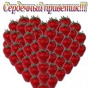 ���� Miasnik, ������, 70 ��� - ��������� 12 ������� 2016 � ������ ������ ��������
