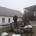  , , 66  -  12  2016      2016