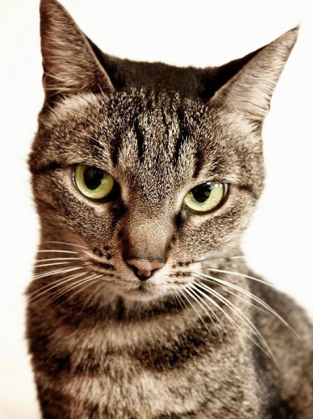  -  - 12  2016  21:30