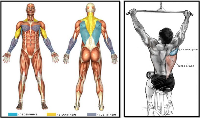 ���� �������� �����. ������� ��� ��������. ���� �������� ����� ����� ����� �������� ����� ���������� ...