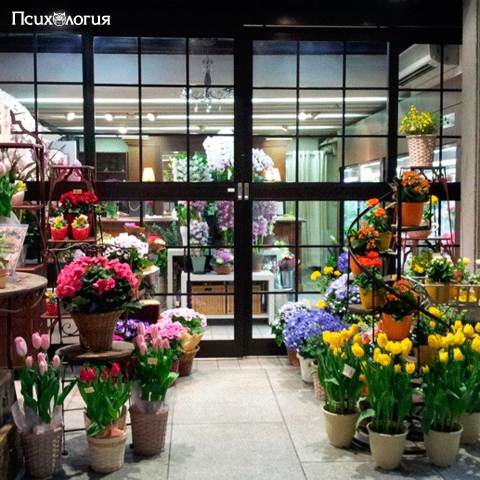 Цветочный праздник магазин. Интерьер цветочного магазина. Элитный цветочный магазин. Идеи для цветочного магазина. Цветочный магазин бизнес.