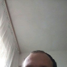 ���� �������, ���������, 46 ��� - ��������� 12 ������� 2017