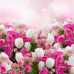 ���� ������, ������, 63 ���� - ��������� 8 ������� 2016