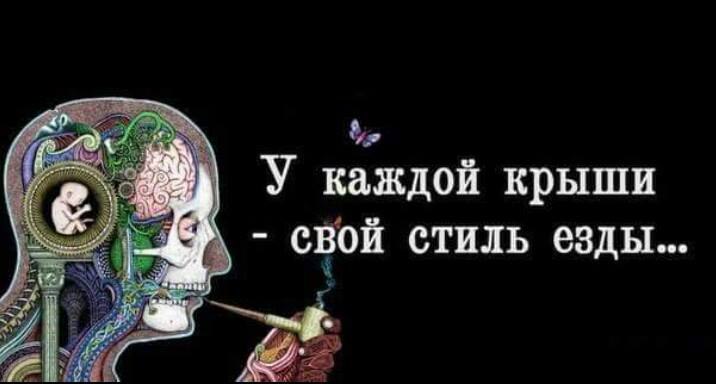   - 11  2017  23:33
