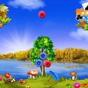 ���� Vera, ������������ - ��������� 29 �������� 2016 � ������ �������� �������-�������