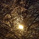 ����� ������� �� ������� ���� ����������