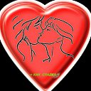 ���� �������, ������ - ��������� 4 ������� 2016 � ������ ������ ��������