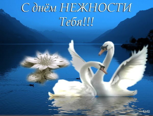    ,      :     ,   ...