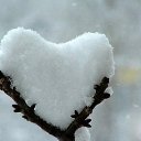 ���� �����, ��������, 61 ��� - ��������� 22 ������� 2016 � ������ ����� ��������