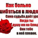 ���� ���������, ������ - ��������� 22 ������ 2016 � ������ ������ ��������