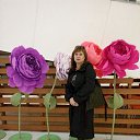 ���� �������, ��������� - ��������� 14 ����� 2017 � ������ ���������� ������