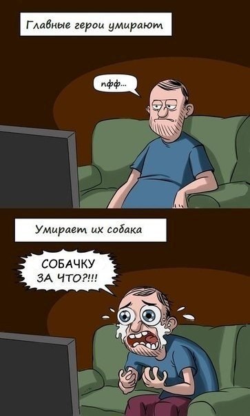 - 3  2016  02:41