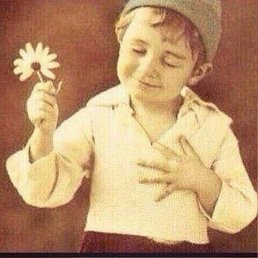 David, ������, 35 ���