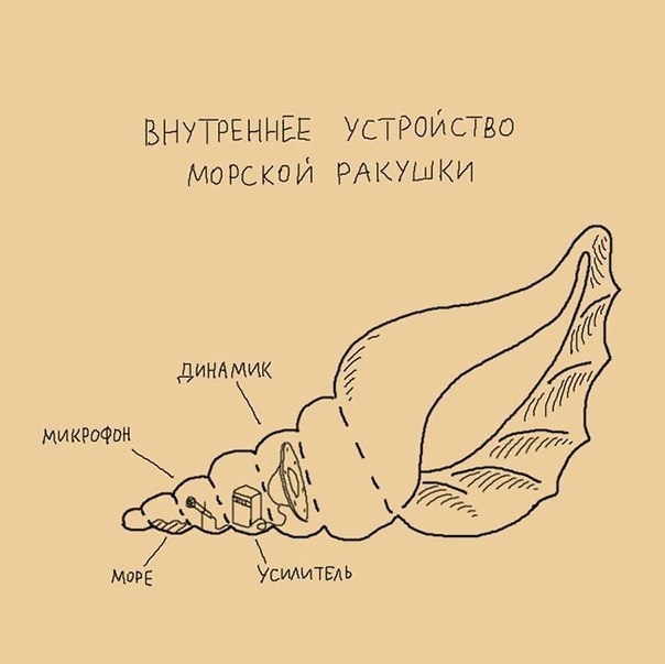   -   - 16  2017  07:05