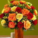 ���� �����, ��������, 85 ��� - ��������� 22 �������� 2016 � ������ ������ ��������