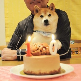 Doge  10 !