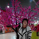 ���� �����, ������������ - ��������� 21 ������ 2016 � ������ ���� ����������