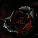 ���� �����, ���������, 63 ���� - ��������� 25 �������� 2016 � ������ ������ ��������