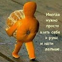 ���� ������, ����-����������� - ��������� 20 ������ 2016