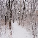 ���� ������, ������, 62 ���� - ��������� 9 ������ 2017 � ������ ���� ����������