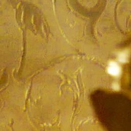 ����, ���������, 42 ����