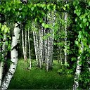 ���� �������, �����������, 70 ��� - ��������� 11 ������� 2017 � ������ ���� ����������