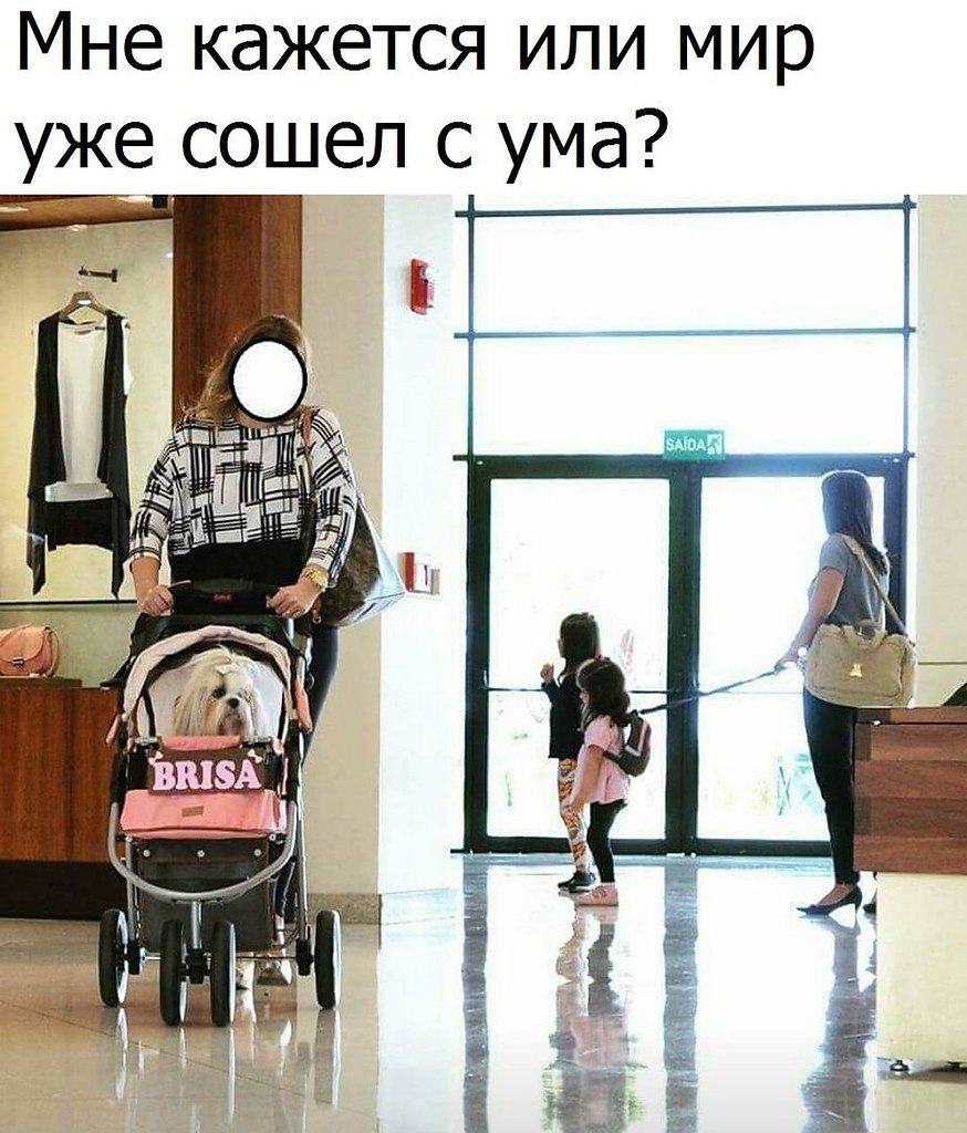  - 20  2016  07:38