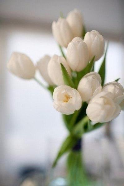 « Я просто нить, связывающая букет. Не я придумал цветы, их форму, цвет и запах. Моя единственная ... - 3