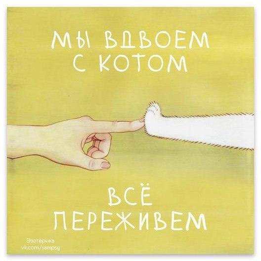 ������� - 5 ������� 2017 � 23:51