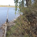 ���� ������ ����� ����� �� ������� �������� ����