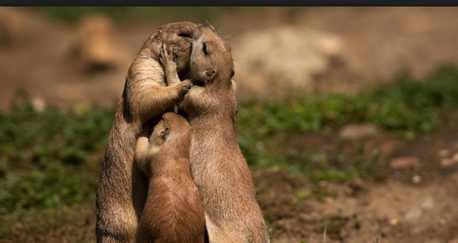    ...     ...      ... - 9