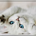 ���� ���������, ��������, 59 ��� - ��������� 11 ������� 2016 � ������ ���� ����������