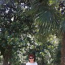 ���� ����, ��� - ��������� 22 ������� 2016 � ������ ���� ����������