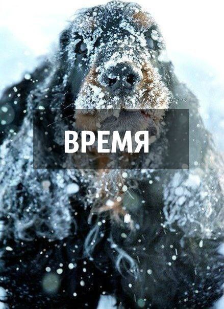Красиво сказано - 1 декабря 2016 в 18:11 - 5