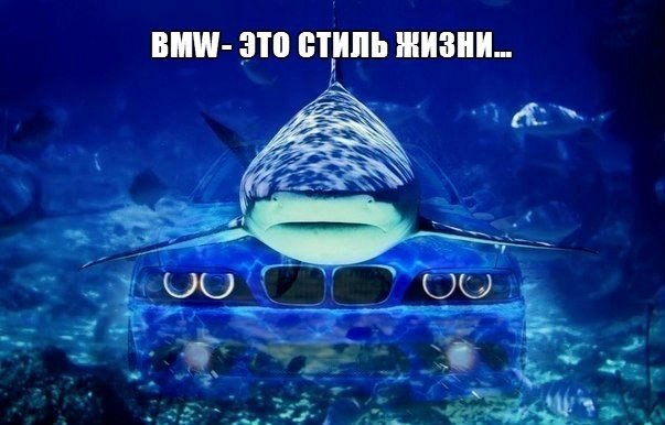  | BMW - 10  2017  17:45