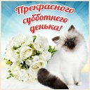 ���� ����, ������ - ��������� 31 ����� 2017 � ������ �������� ��������