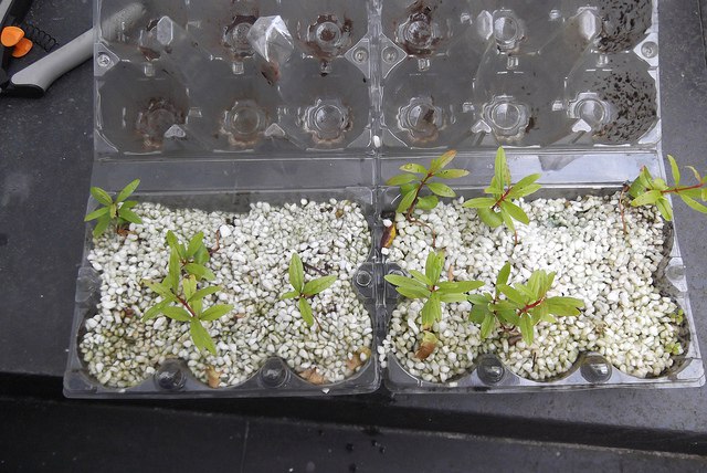 ���������� ������: ��� �������� � ��������� ������ � �������� ��������. ������ ���� �� ����� ... - 4