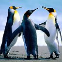 ���� ����, ������������, 53 ���� - ��������� 14 ������� 2017 � ������ ���� ����������