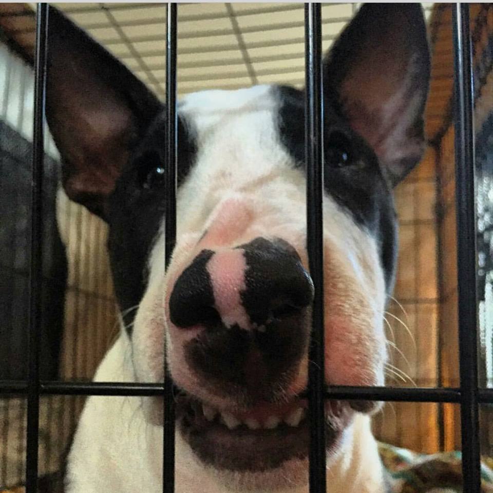 Удачного начала рабочей недели! Всех с понедельником!