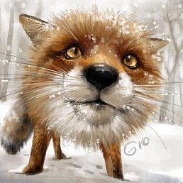 ���� ���� ���, ������ - ��������� 7 ������� 2017