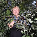 ���� �������, ������ - ��������� 2 ������� 2016 � ������ ������ ��������