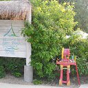    -  ,  -  6  2016    2014.  11.  lawana ( )