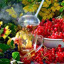 ���� ���������, ������ - ��������� 28 ������ 2016 � ������ �������� ��������