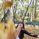 ���� �����, ������ - ��������� 7 ������� 2016 � ������ ���� ����������
