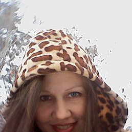 ����, �����������, 41 ���