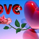 ���� �������, ������, 72 ���� - ��������� 24 ������� 2016 � ������ ���� ����������