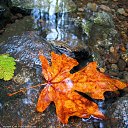 ���� ���������, ������, 69 ��� - ��������� 21 �������� 2016 � ������ �������